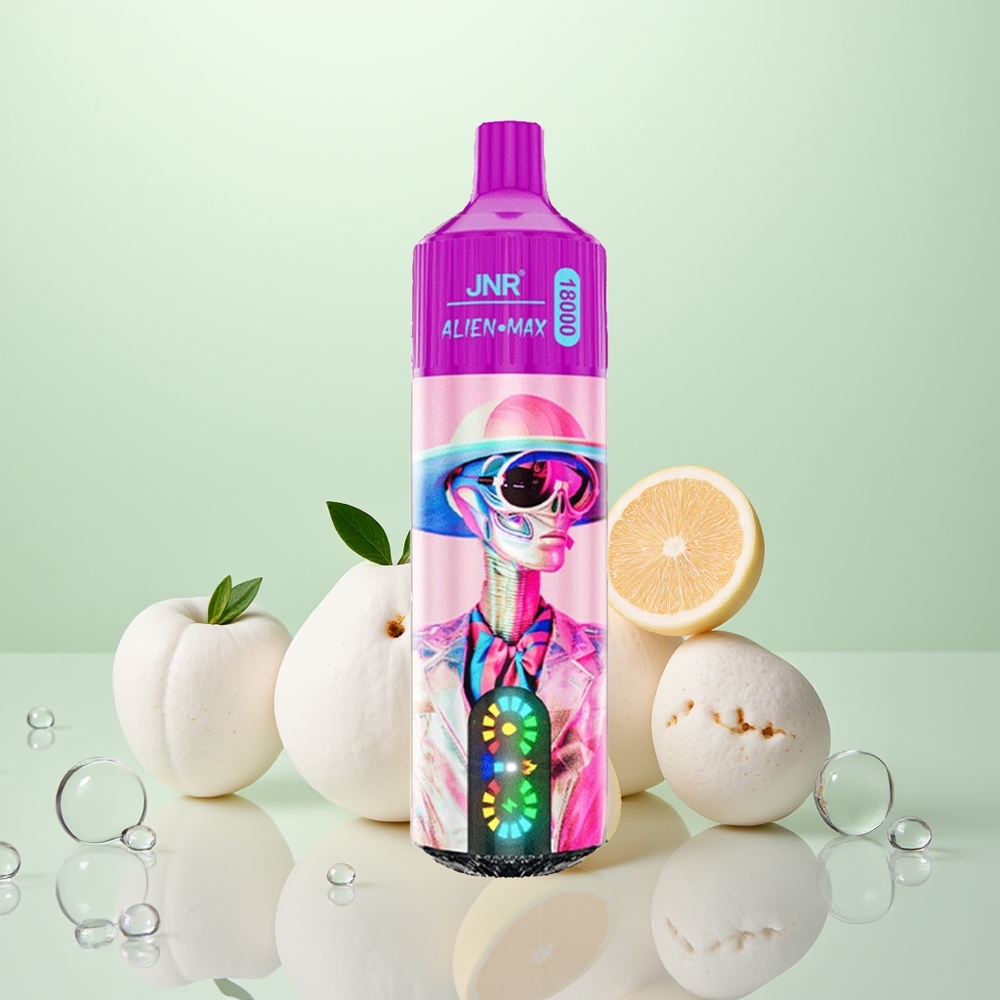 JNR Alien Max 18000 Pêche Blanche Framboise Double Mesh & Charge Rapide