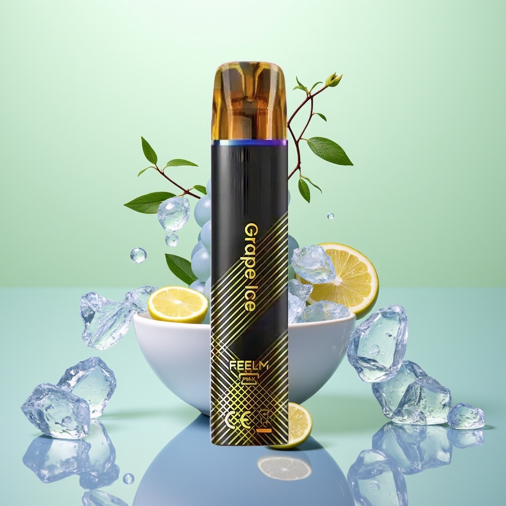 JNR Black&Golden 600+200 Glace Raisin 550mAh 2ml