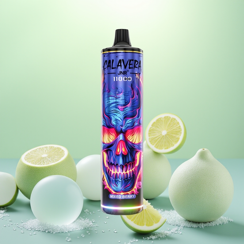 JNR Calavera 11000 Baies Mixtes Type-C 21ml