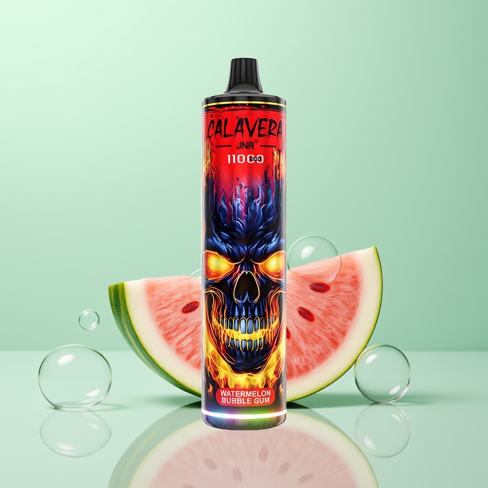 JNR Calavera 11000 Chewing Bulle Pastèque avec Port Type-C et Batterie 850 mAh