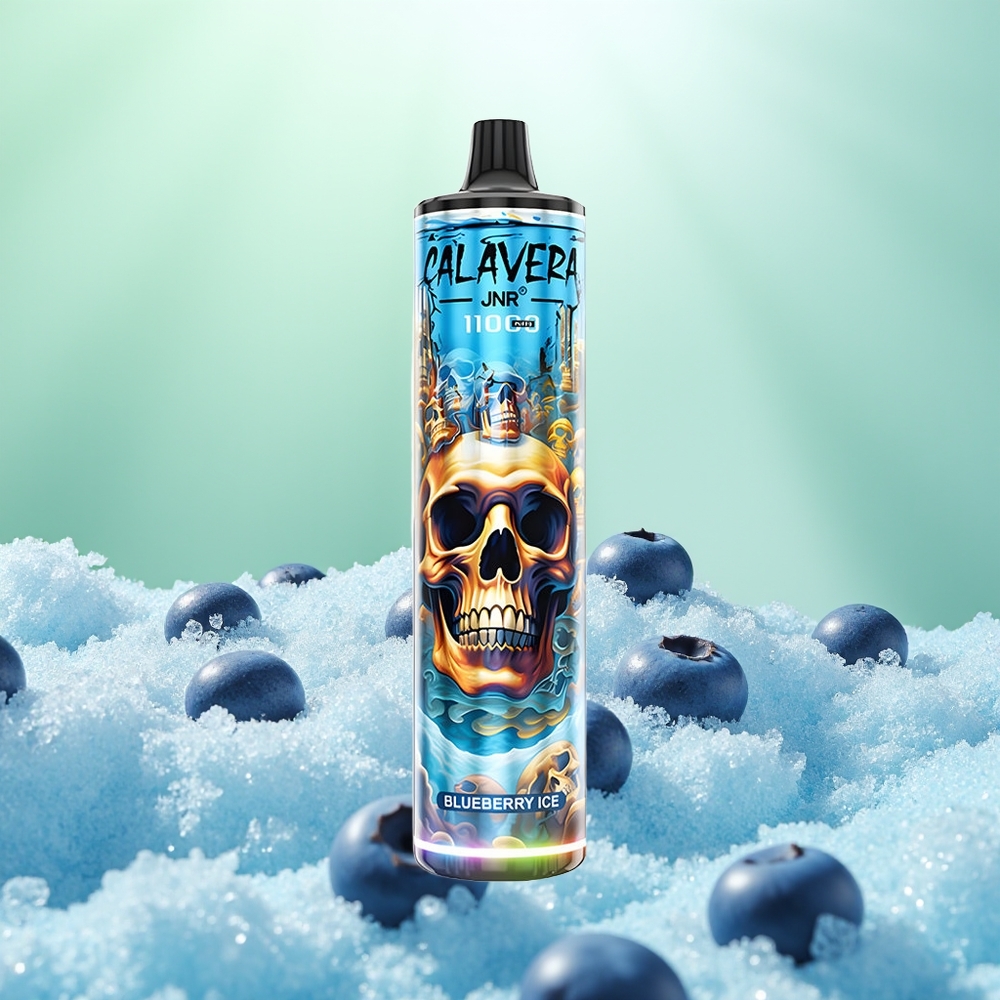 JNR Calavera 11000 Glace Myrtille Type-C 850mAh