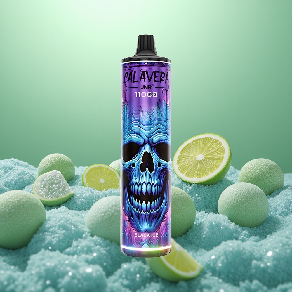 JNR Calavera 11000 Glace Noire Type-C 850mAh