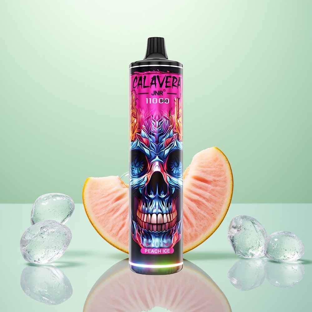 JNR Calavera 11000 Glace de Pêche Type-C 850mAh