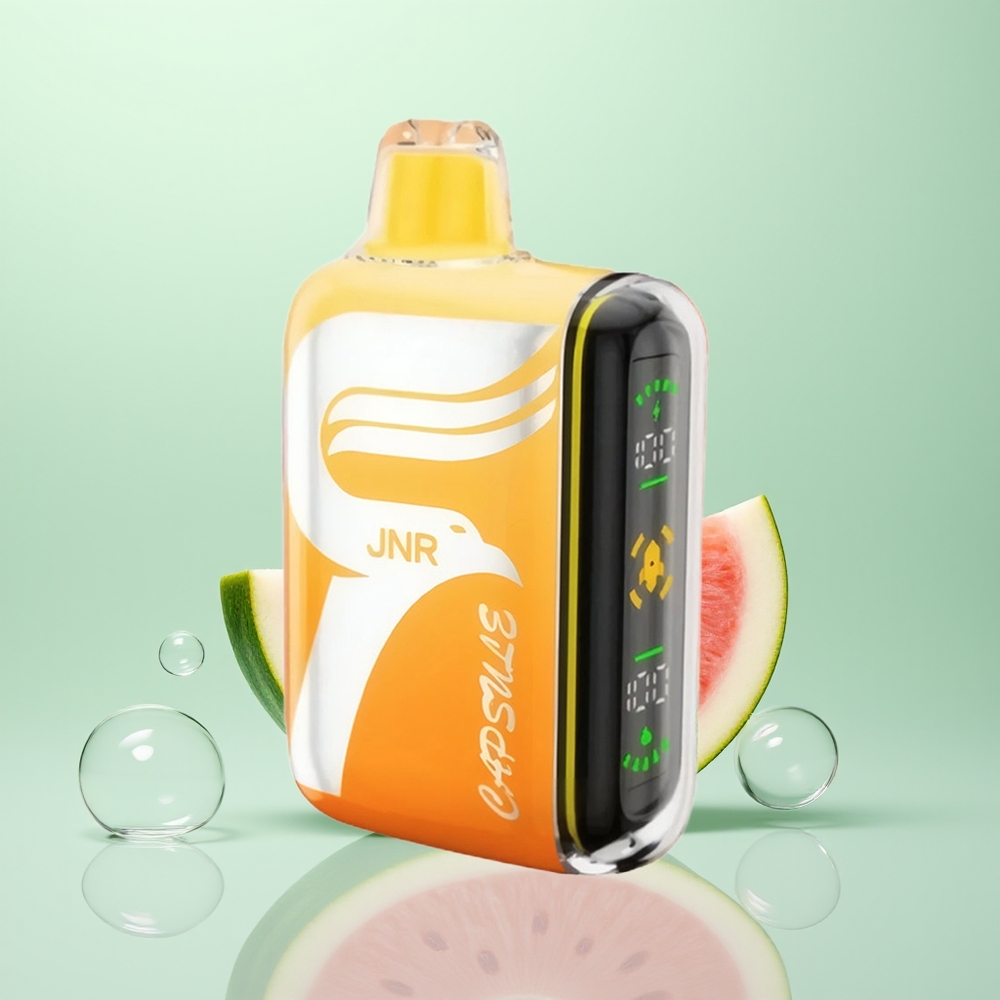 JNR Capsule 15000 Pastèque Irchee Dual Mesh Charge Rapide Type-C