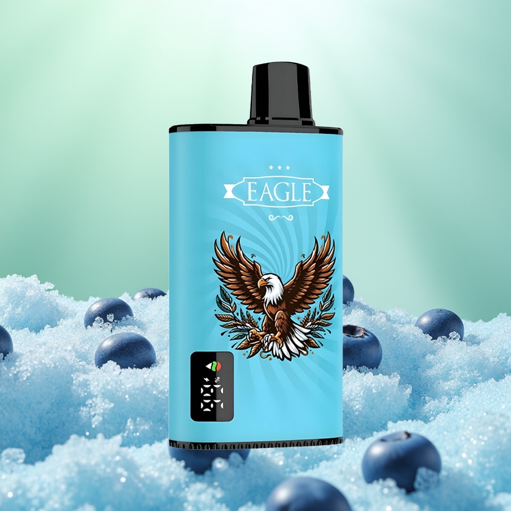 JNR EAGLE Smart 23000 Glace Myrtille Écran Numérique Bobine Mesh
