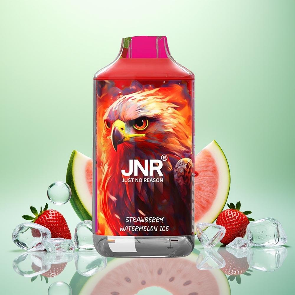 JNR Falcon 16000 Fraise Pastèque Glacée Dual Mesh 22ml