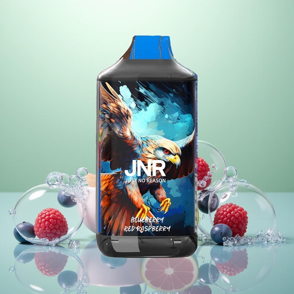 JNR Falcon 16000 Framboise Rouge Myrtille 850 mAh 22ml