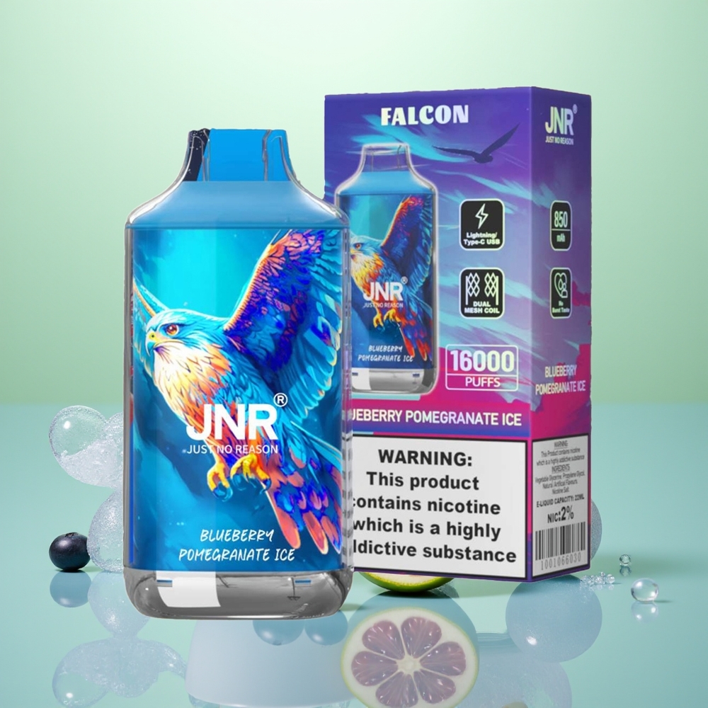 JNR Falcon 16000 Glace Myrtille Grenade Dual Mesh 22ml