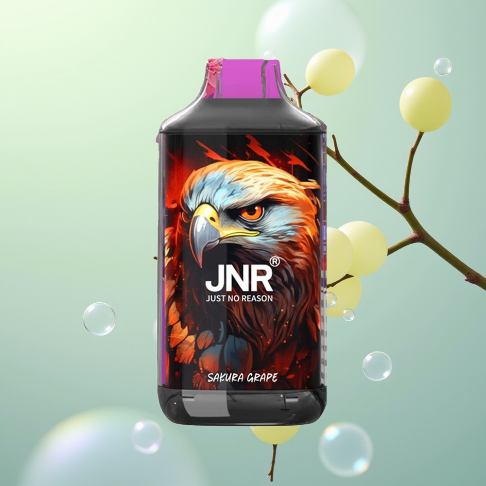 JNR Falcon 16000 Raisin Sakura 850mAh Double Mesh