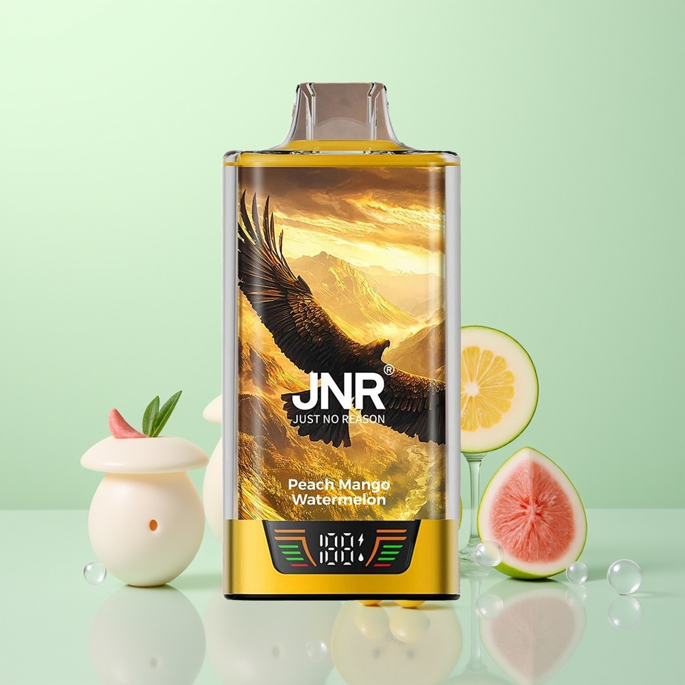 JNR Falcon Pro 28000 Eau de Pêche Mangue Pastèque avec Capacité Pré-remplie 30ml et Batterie 950mAh