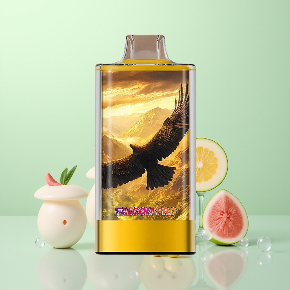 JNR Falcon Pro 28000 Eau de Pêche Mangue Pastèque avec Capacité Pré-remplie 30ml et Batterie 950mAh