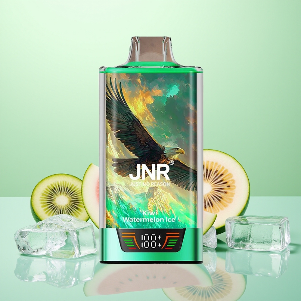 JNR Falcon Pro 28000 Glace Kiwi Pastèque avec 30ml et Dual Mesh