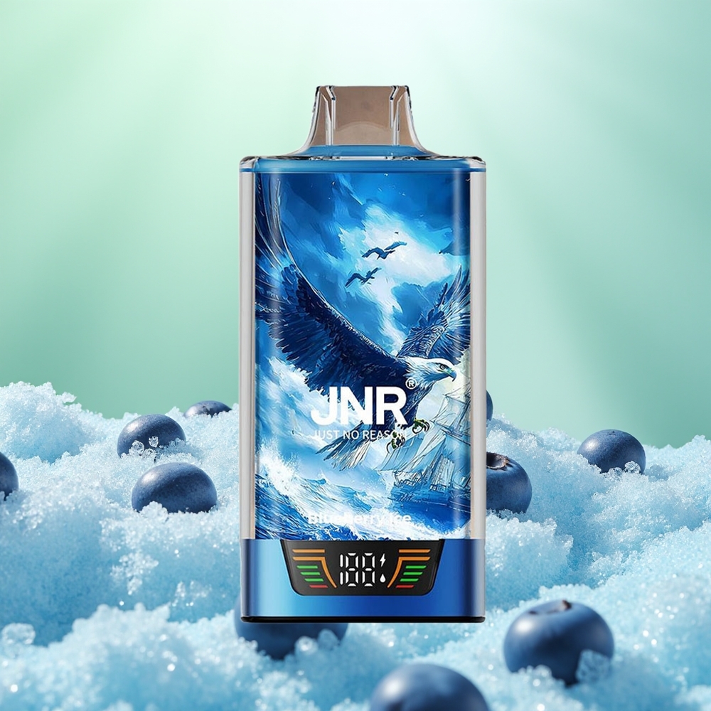 JNR Falcon Pro 28000 Glace Myrtille Pro 28000 Dual Mesh