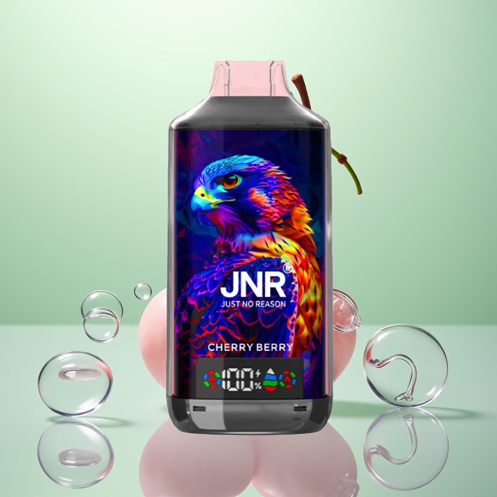 JNR Falcon X 18000 Baie Cerise Dual Mesh & Digital 750mAh Type-C