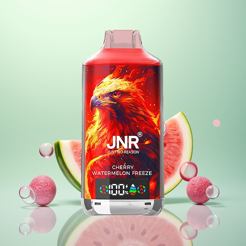 JNR Falcon X 18000 Glace Cerise Pastèque Dual Mesh 24ml 750mAh