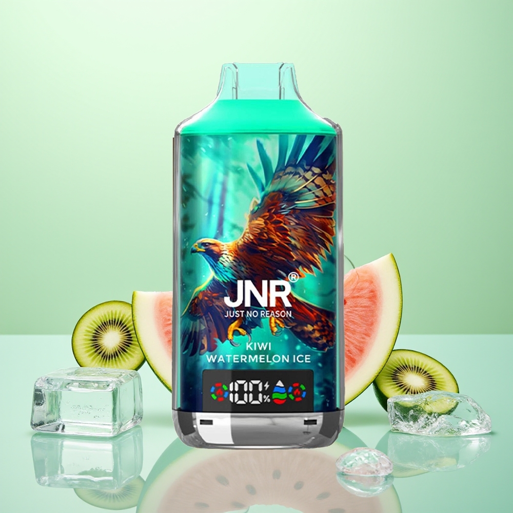 JNR Falcon X 18000 Glace Kiwi Pastèque Dual Mesh 750mAh Type-C