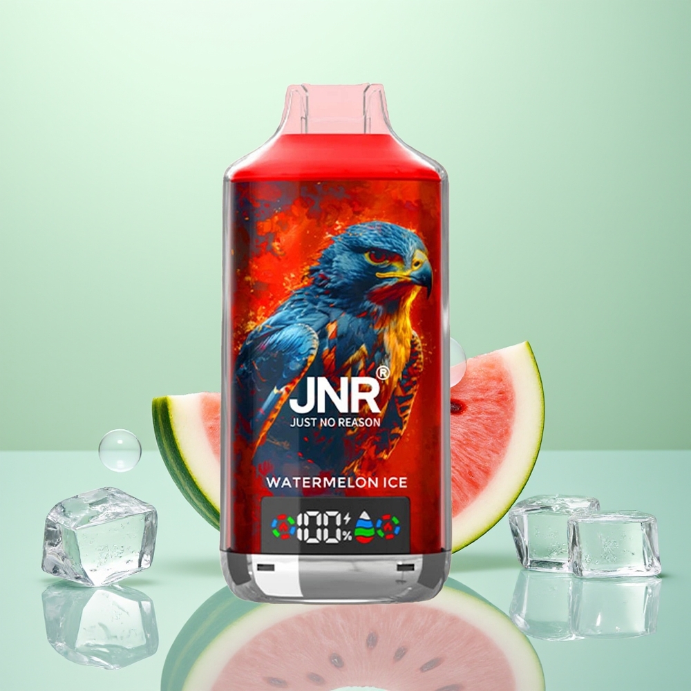 JNR Falcon X 18000 Glace à la Pastèque Dual Mesh 24ml Type-C