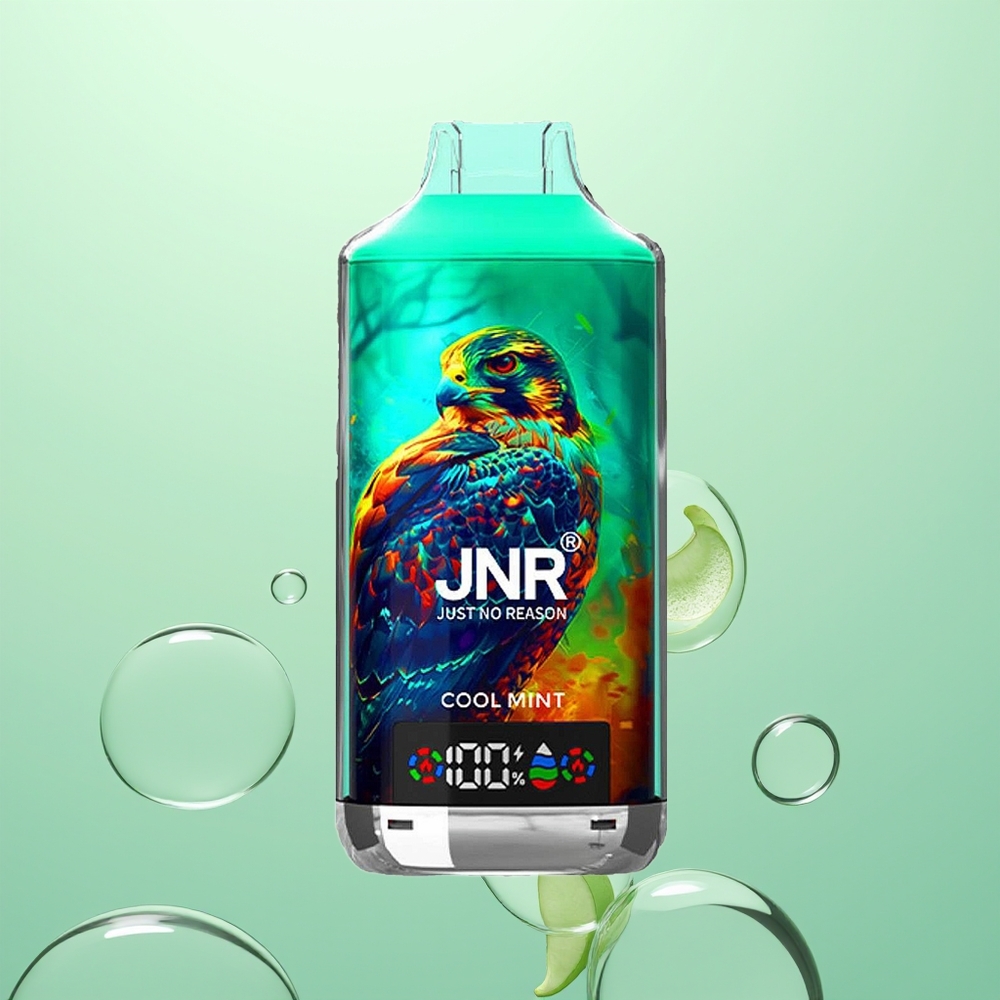 JNR Falcon X 18000 Menthe Fraîche Dual Mesh 24ml 750mAh