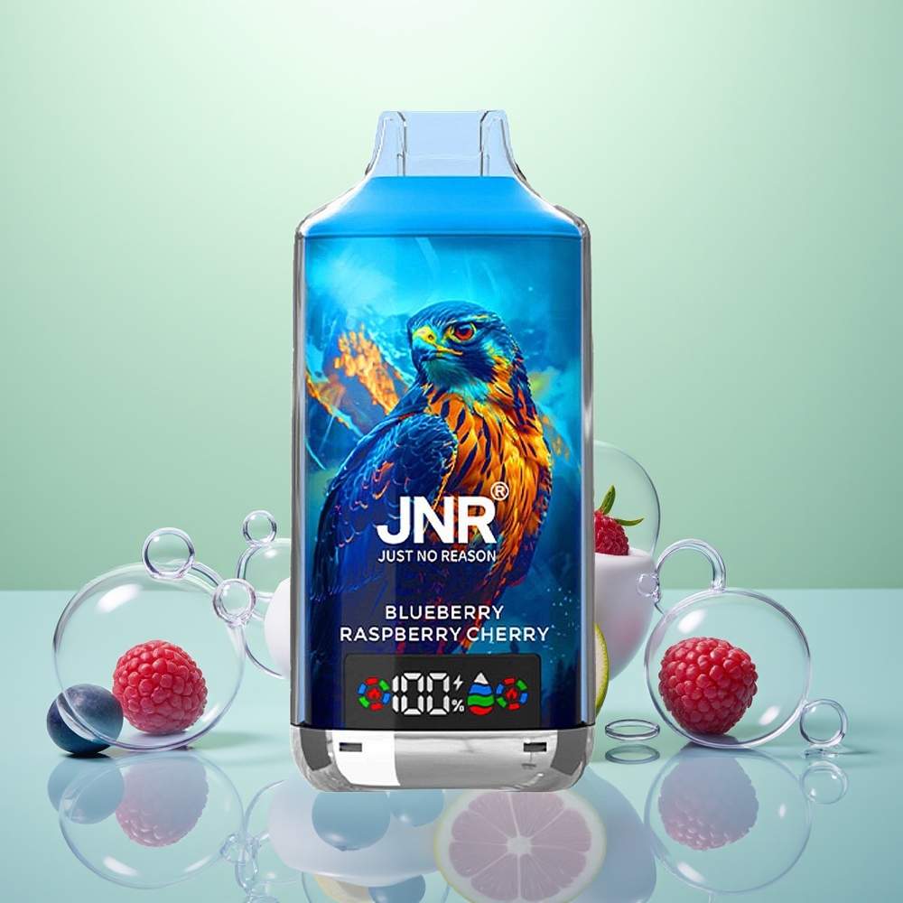 JNR Falcon X 18000 Myrtille Framboise Cerise Dual Mesh 750mAh Type-C