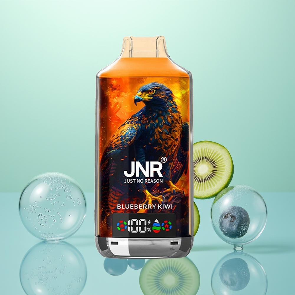 JNR Falcon X 18000 Myrtille Kiwi 750mAh Type-C