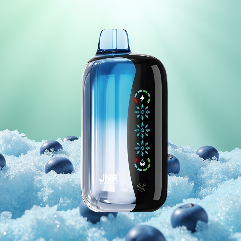 JNR Flex Ice 21000 Glace Myrtille Électrique Dual Mesh