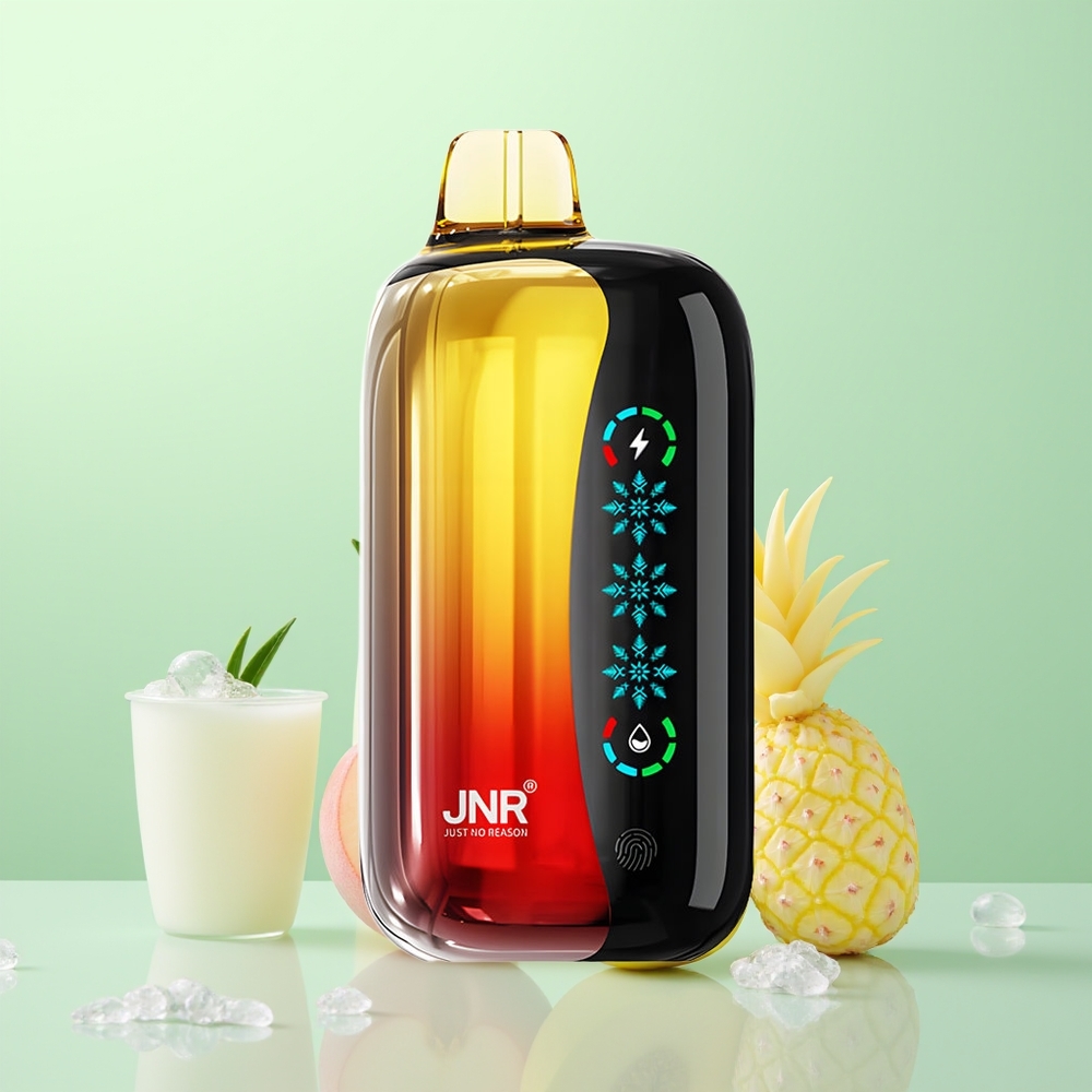 JNR Flex Ice 21000 Pêche Mangue Ananas Glace Réglable Dual Mesh