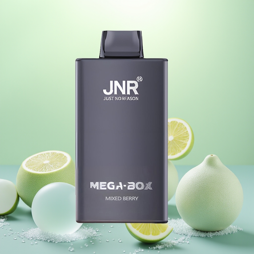 JNR Mega Box 25000 Baies Mixtes Dual Mesh 30ml