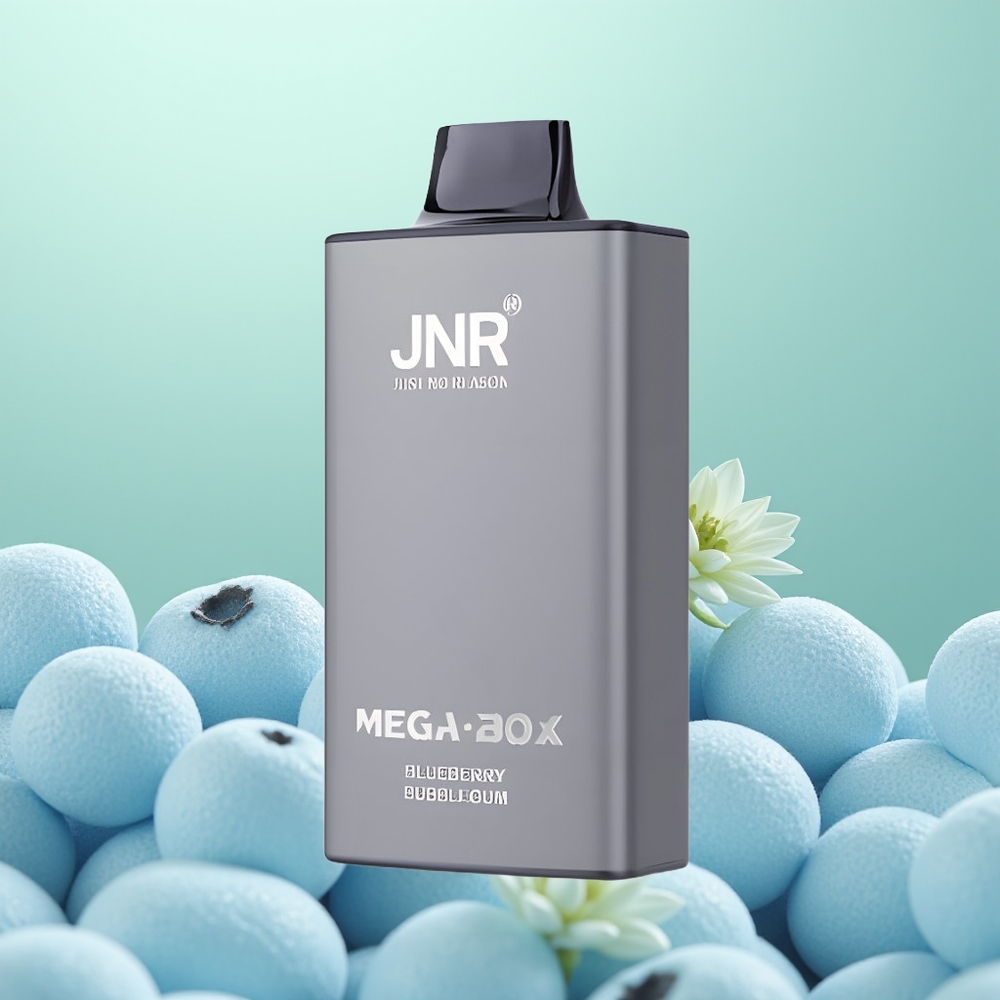 JNR Mega Box 25000 Bubblegum Myrtille Dual Mesh 30ml