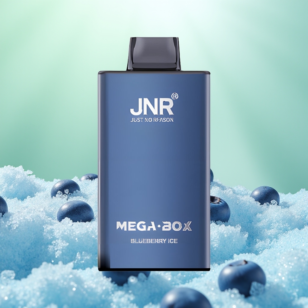 JNR Mega Box 25000 Glace Myrtille Dual Coil Rapide