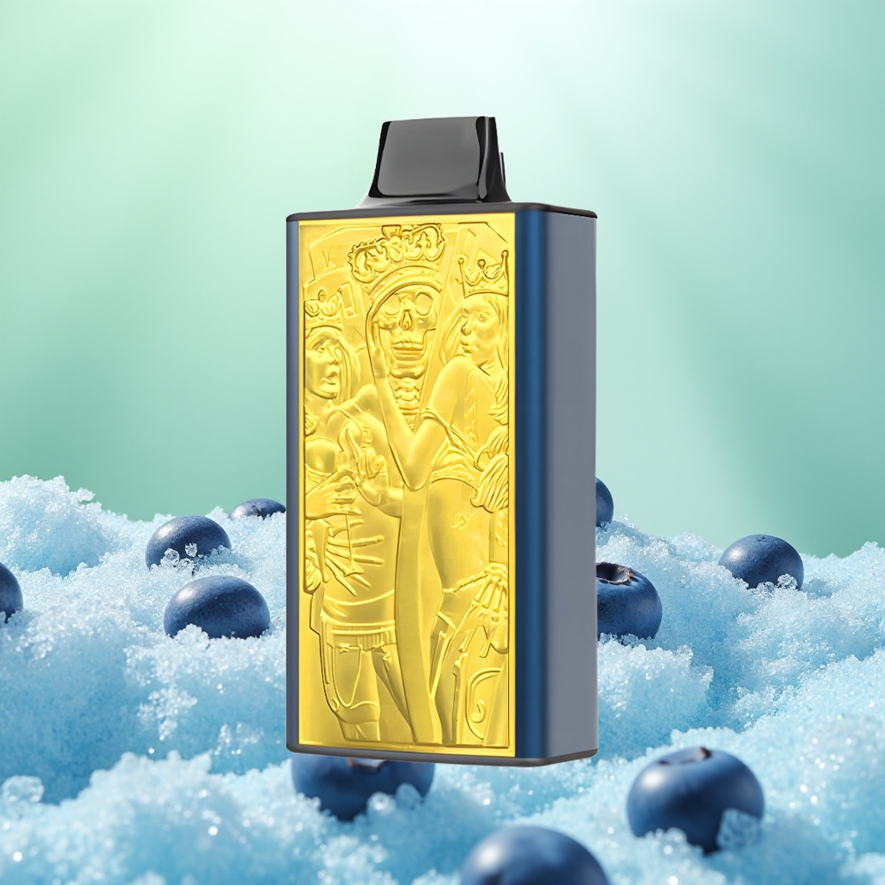 JNR Mega Box 25000 Glace Myrtille Dual Coil Rapide