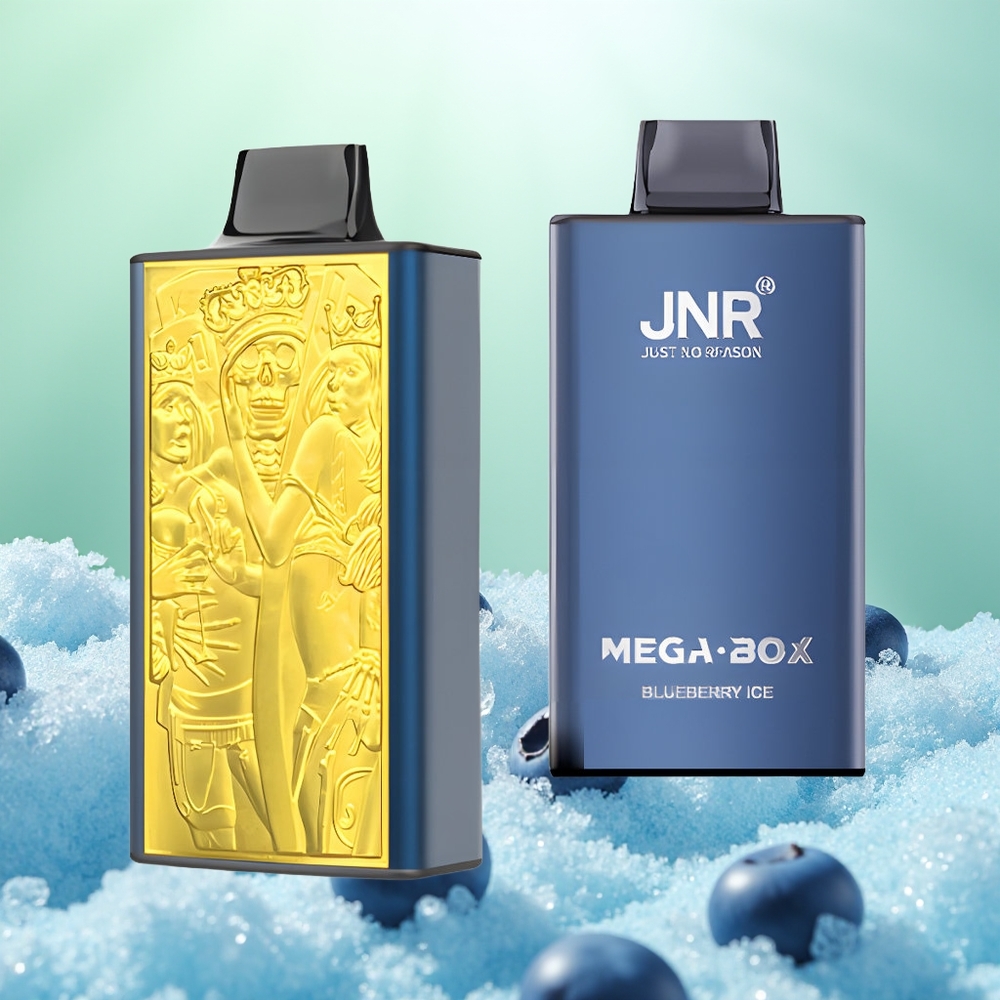 JNR Mega Box 25000 Glace Myrtille Dual Coil Rapide
