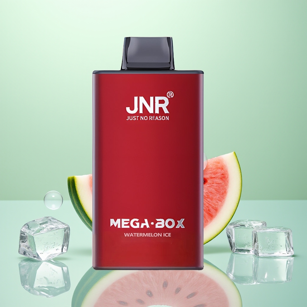 JNR Mega Box 25000 Glace à la Pastèque Dual Mesh 30ml
