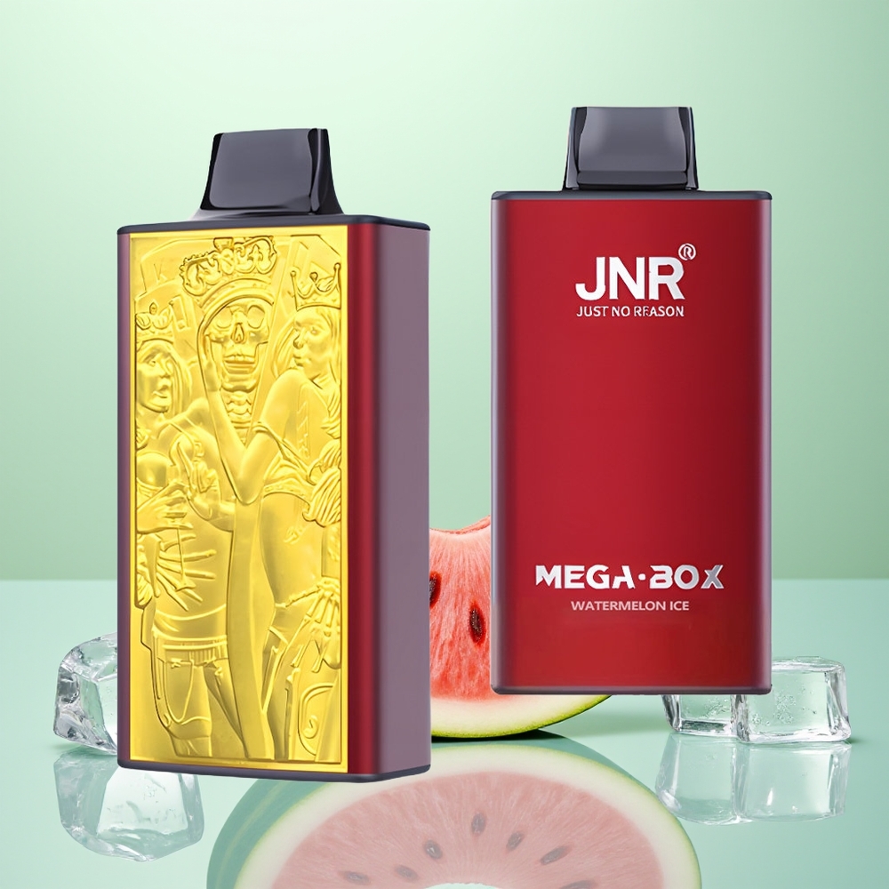 JNR Mega Box 25000 Glace à la Pastèque Dual Mesh 30ml