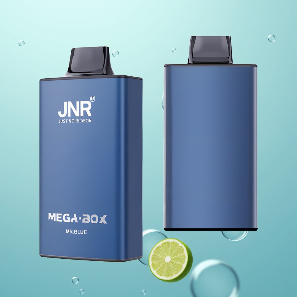 JNR Mega Box 25000 Monsieur Bleu Dual Mesh & Type-C Rapide