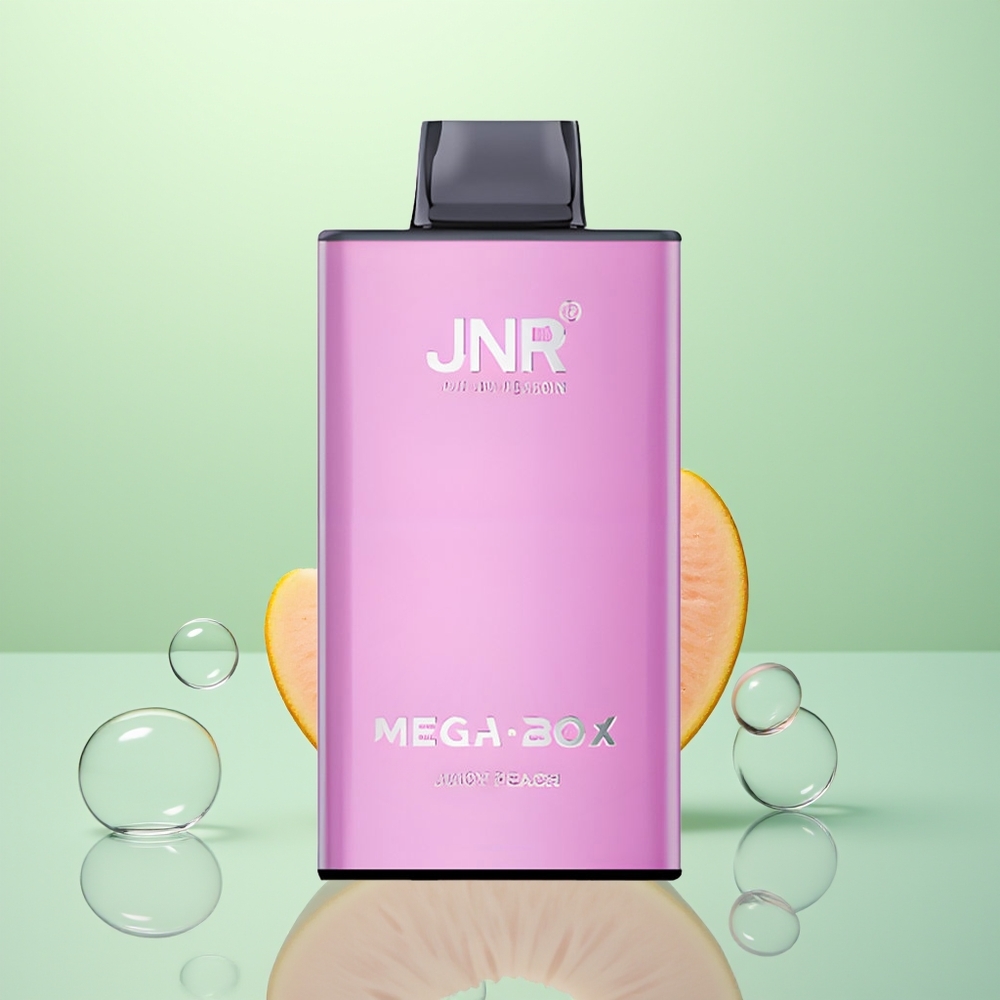 JNR Mega Box 25000 Pêche Juteuse Dual Core Charge Rapide