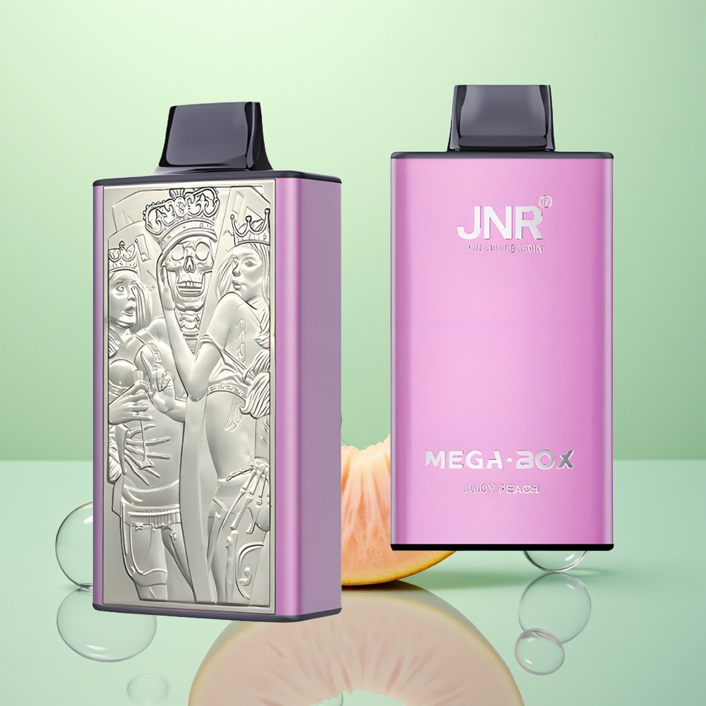 JNR Mega Box 25000 Pêche Juteuse Dual Core Charge Rapide