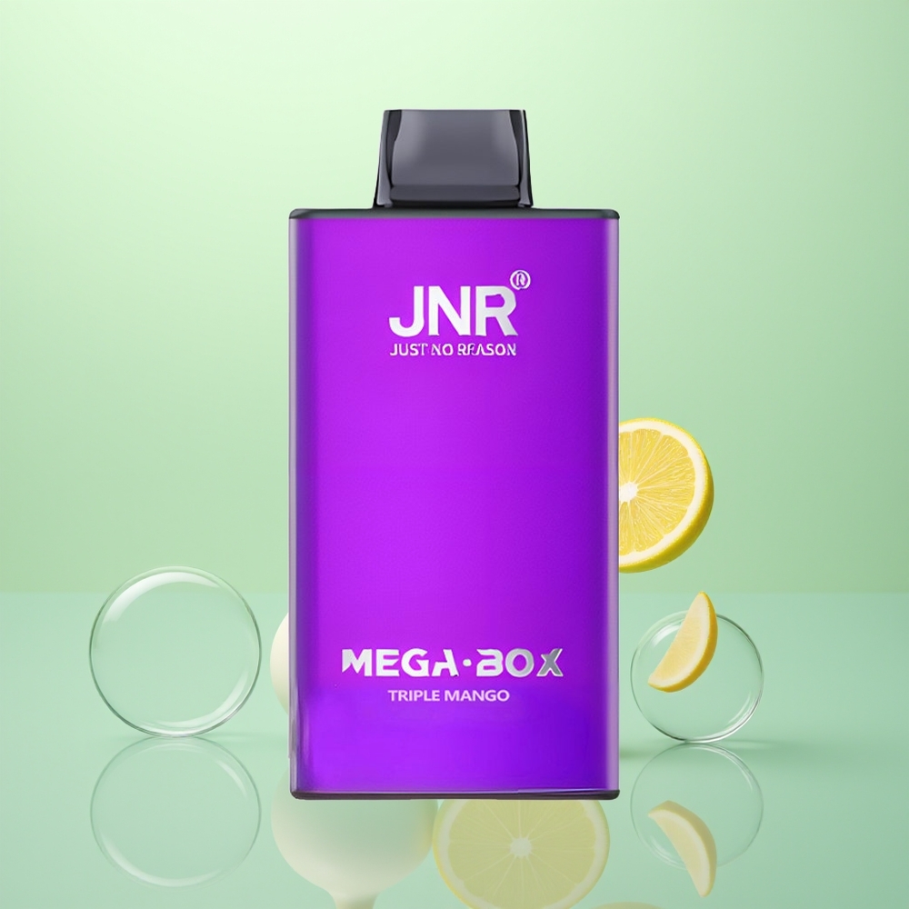 JNR Mega Box 25000 Triple Mangue Dual Mesh & Type-C Rapide