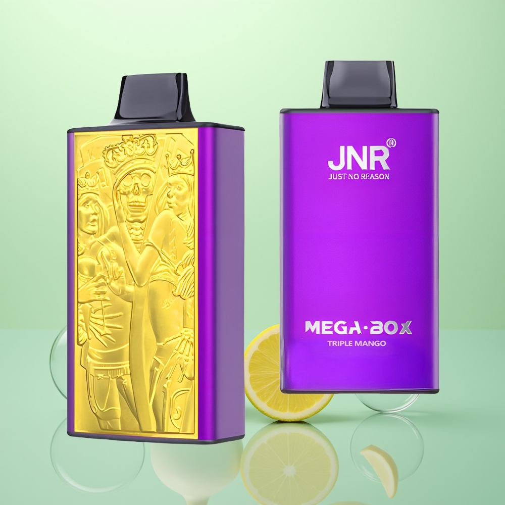 JNR Mega Box 25000 Triple Mangue Dual Mesh & Type-C Rapide