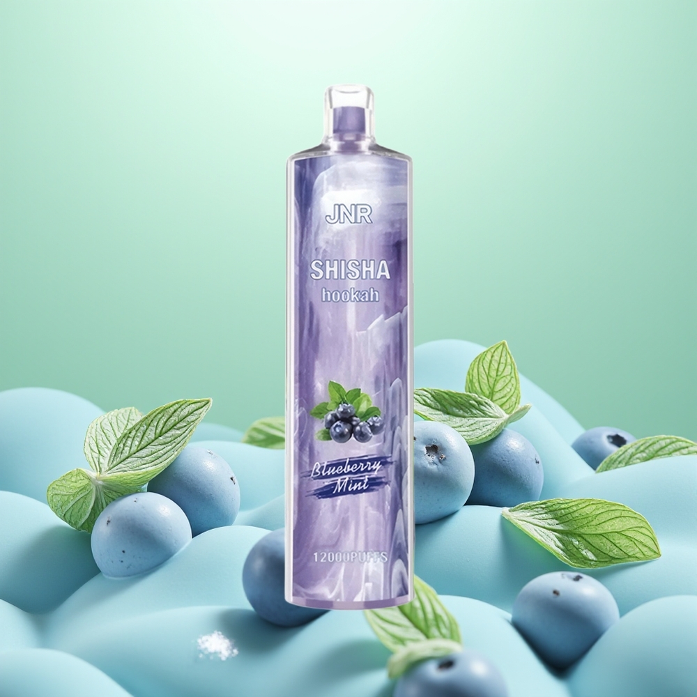JNR Shisha Hookah 12000 Menthe Myrtille 750mAh 24ml