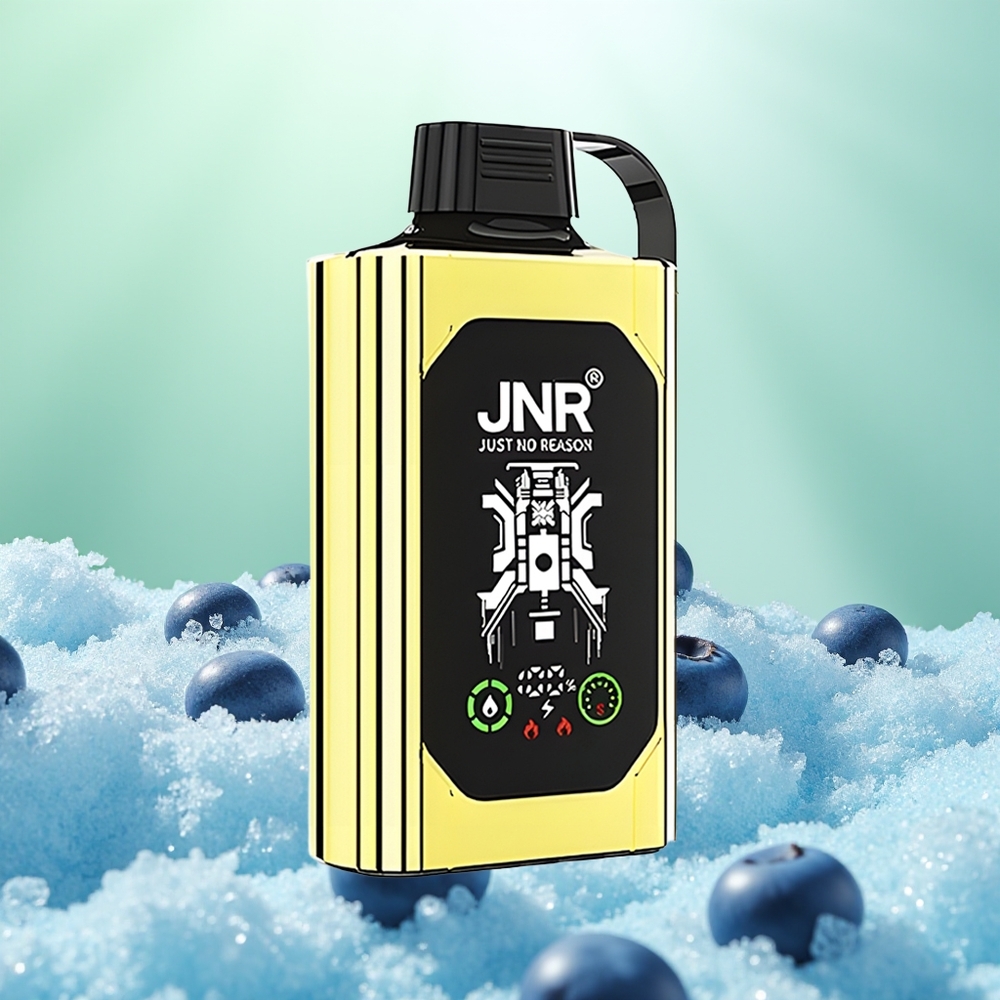 JNR Shisha Hookah Box 20500 Glace Myrtille HD Double Mesh Charge Rapide
