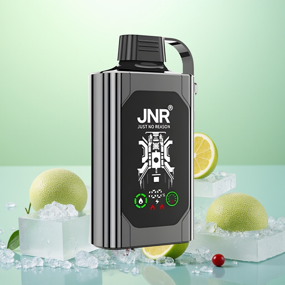 JNR Shisha Hookah Box 20500 Glace aux Baies Mixtes avec Double Noyau et Affichage HD