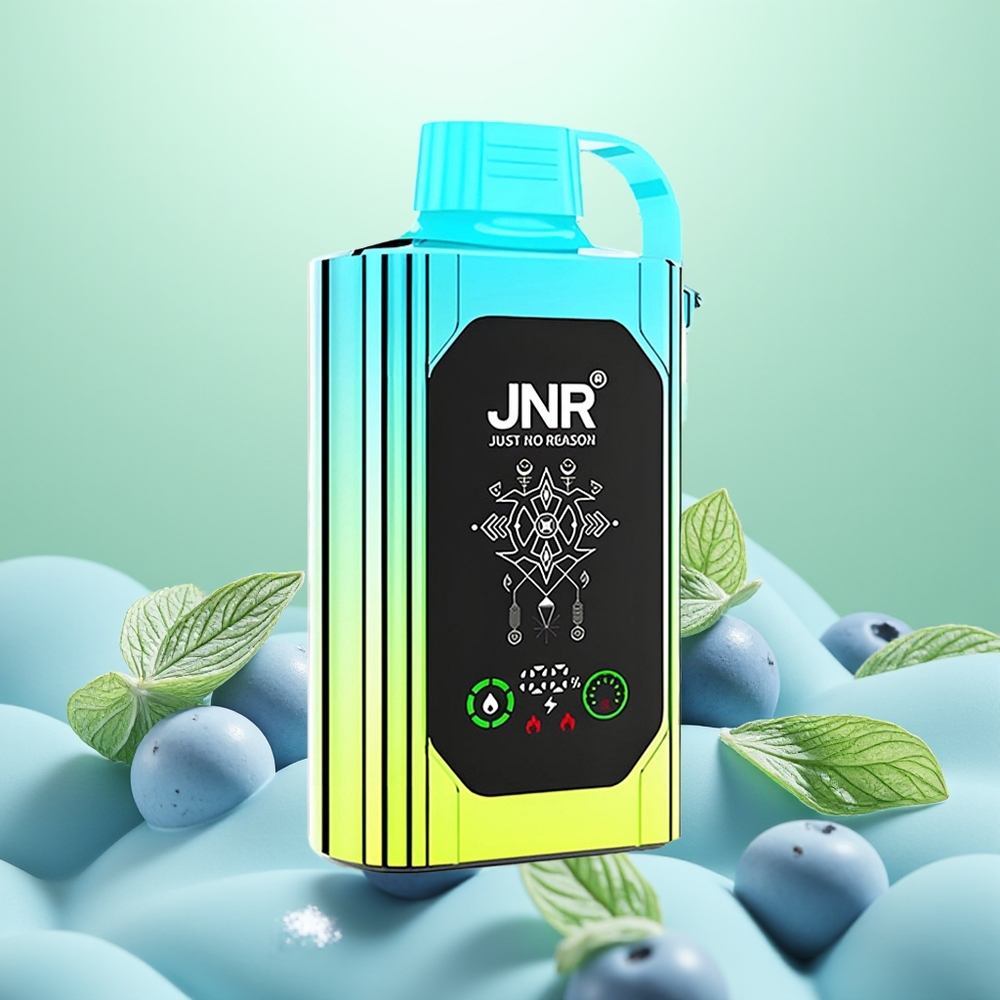 JNR Shisha Hookah Box 20500 Menthe Myrtille HD Double Mesh Charge Rapide Type-C